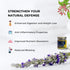 Arunveda Luxury Gasoleen Ultra Pro Digestive Supplement Home Made Golden Pills